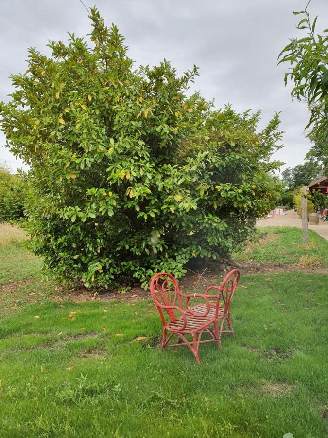 Gite De La Maison Du L.A.C Simard Luaran gambar